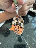 IMG_3791.jpeg