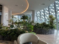 IMG_3752.jpeg