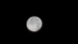 20261027_063617.jpg