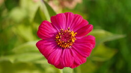 DSC08138.JPG