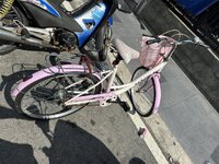 IMG_3831.jpeg IMG_3831.jpeg