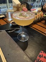 IMG_3851.jpeg IMG_3851.jpeg