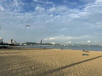 IMG_3916.jpeg IMG_3916.jpeg