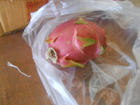 DSCN9467.JPG DSCN9467.JPG