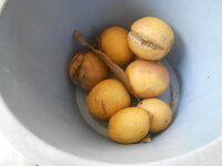 DSCN9512.JPG DSCN9512.JPG