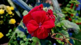 20261015_073711.jpg