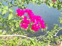 102_1811.JPG