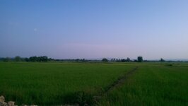 IMAG0372.jpg