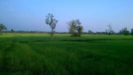 IMAG0374.jpg