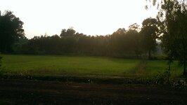 IMAG0376.jpg