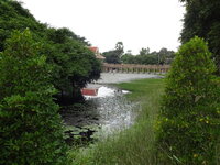 DSC00729.JPG