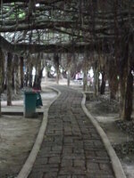 DSC00734.JPG