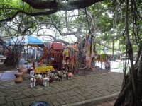 DSC00738.JPG