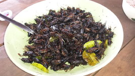 20150409_153132.jpg
