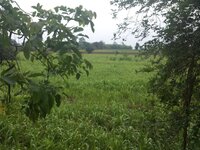 20150423_093328.jpg