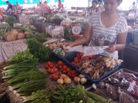 20150423_112239.jpg