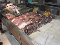 20150423_113303.jpg