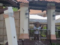 IMG_3381.jpg IMG_3381.jpg