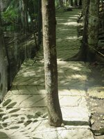 IMG_3387.jpg IMG_3387.jpg