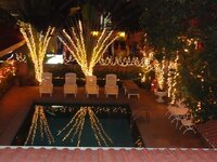 k-DSC06505.JPG