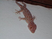 DSC00029.JPG