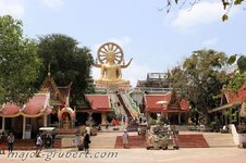 samui_07.jpg