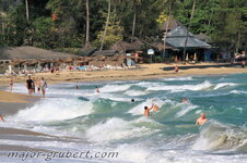 lamai_02.jpg