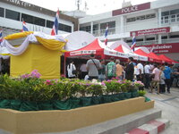 22347507yd.jpg