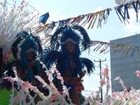 DSCF0707.jpg DSCF0707.jpg