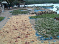 DSCF0754.jpg DSCF0754.jpg