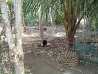 DSCF0755.jpg DSCF0755.jpg