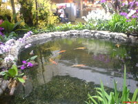 DSC00089.jpg DSC00089.jpg