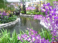 DSC00090.jpg DSC00090.jpg