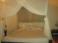 DSC00095.jpg DSC00095.jpg