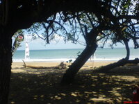 DSC00098.jpg DSC00098.jpg