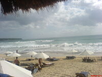 DSC00135.jpg DSC00135.jpg