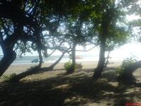 DSC00144.jpg DSC00144.jpg