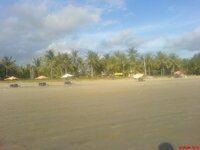 DSC00145.jpg DSC00145.jpg