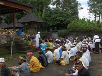 HPIM0172.jpg HPIM0172.jpg