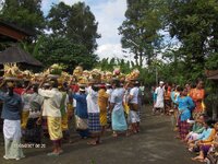 HPIM0175.jpg HPIM0175.jpg