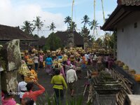 HPIM0185.jpg HPIM0185.jpg