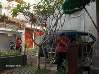 HPIM0232.jpg HPIM0232.jpg