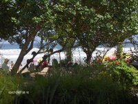 HPIM0240.jpg HPIM0240.jpg