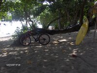 HPIM0346.jpg HPIM0346.jpg