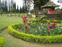 100_0929.jpg
