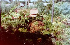 shugar_hut_5.jpg shugar_hut_5.jpg