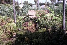 shugar_hut_6.jpg shugar_hut_6.jpg