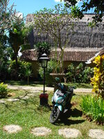 DSC00488.JPG