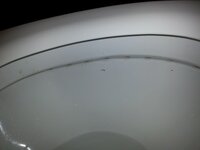 4-20130303_195703.jpg 4-20130303_195703.jpg