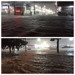 Korat1.jpg